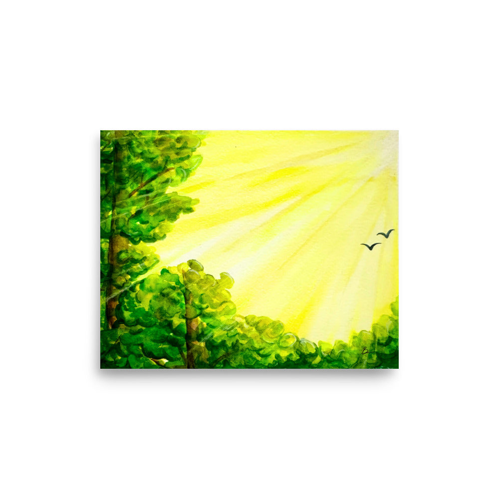 Sunshine Awakening - Matte Print