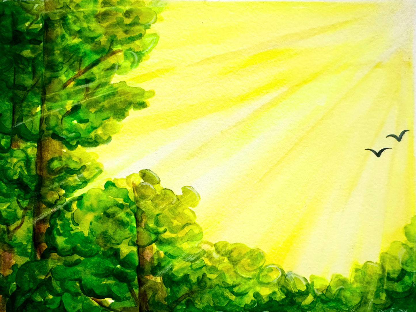 Sunshine Awakening - Original