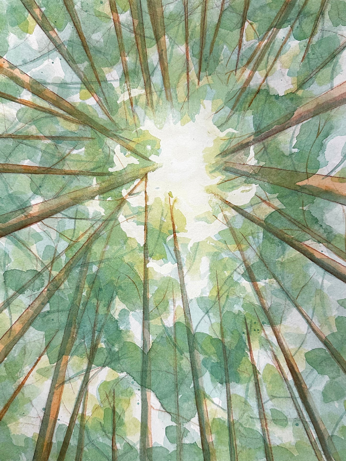 Forest Canopy - Original