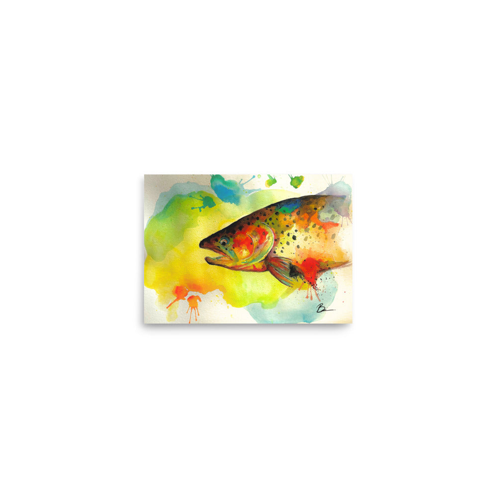 Rainbow Fish - Matte Print